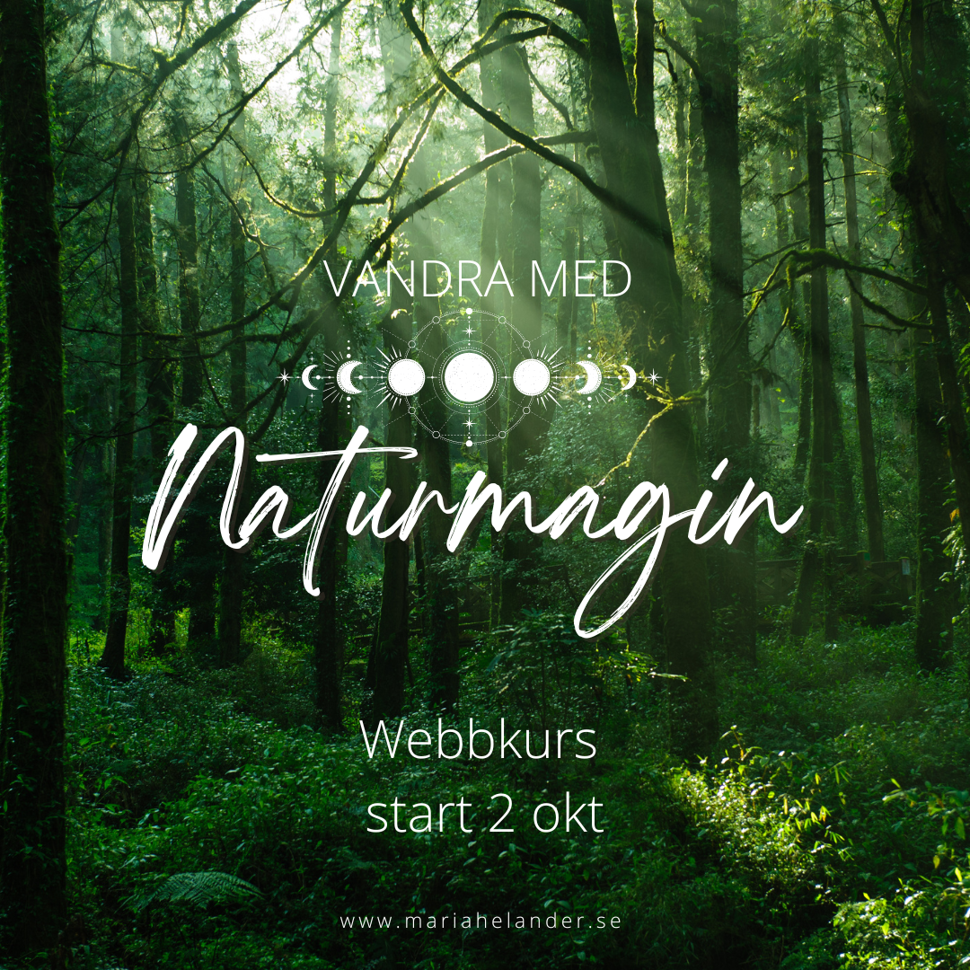 Webbkurs