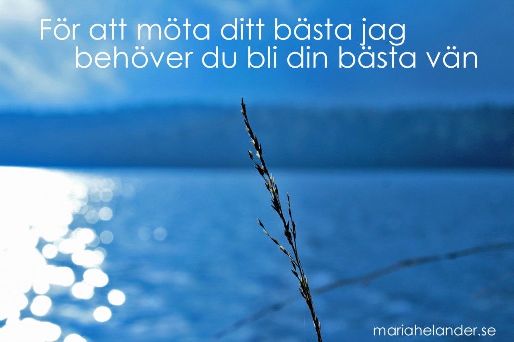 bästa