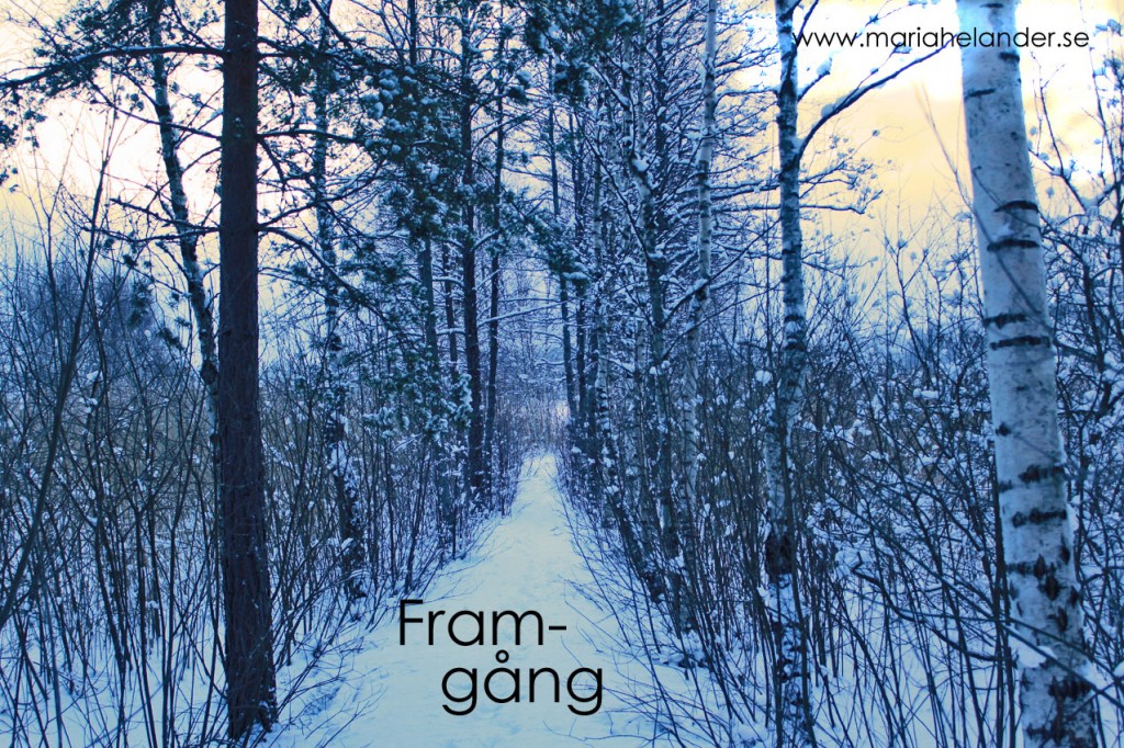 framgång