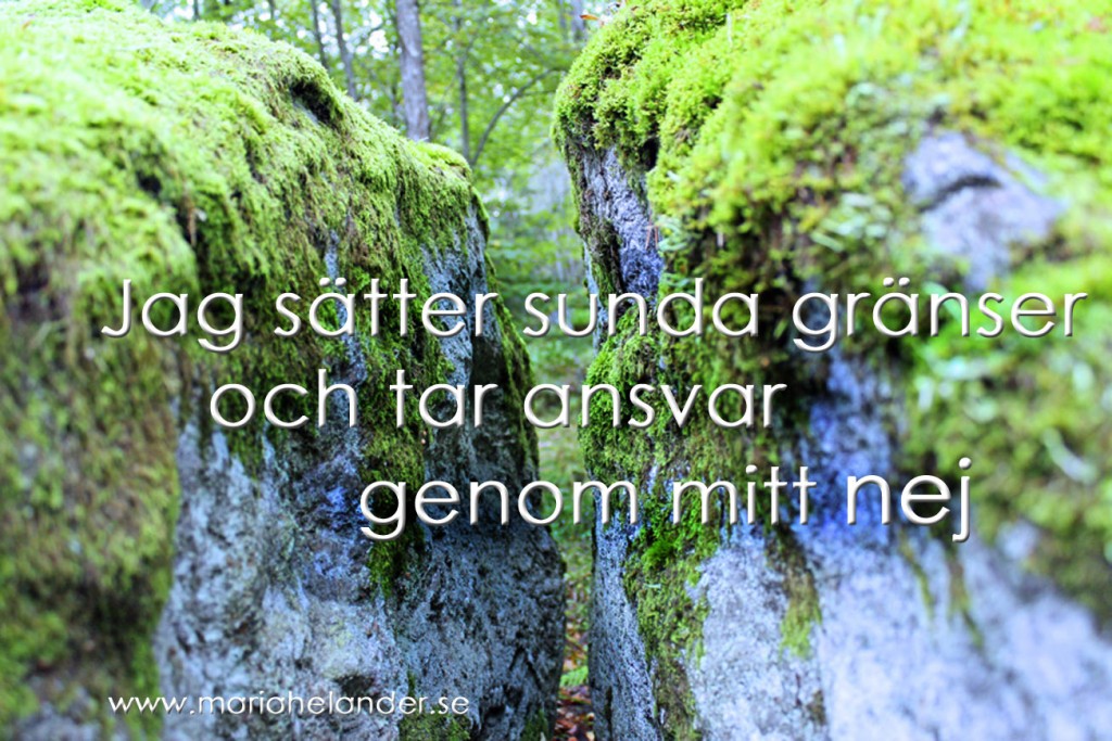 gränser