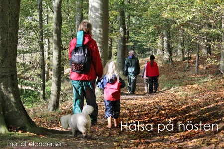 Hälsa på hösten och välja att ha roligt. – Maria Helander
