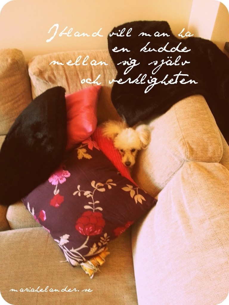 kudde