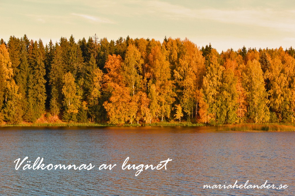 lugnet