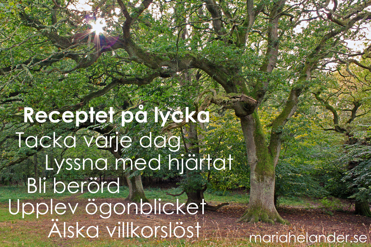 receptet på lycka receptet på lycka