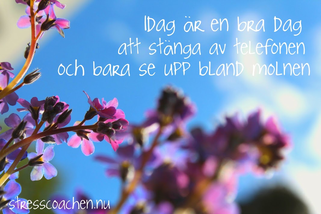 kropp och själ kropp och själ