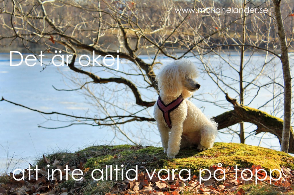 okej