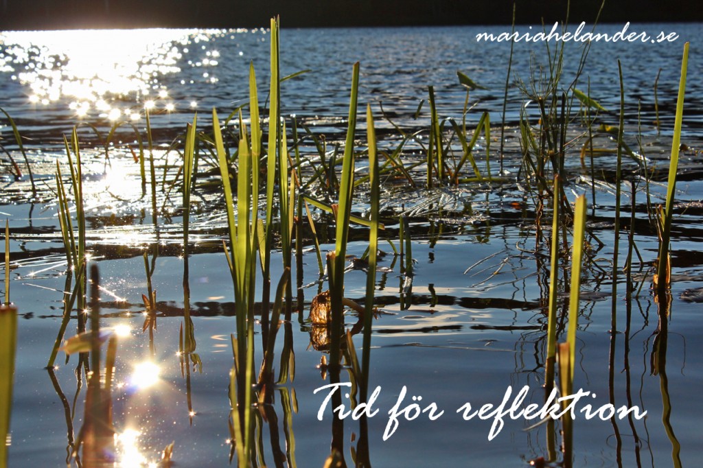 reflektion