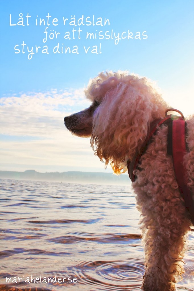 rädsla