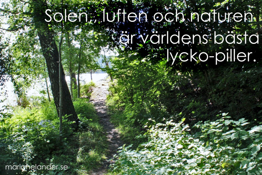 solen