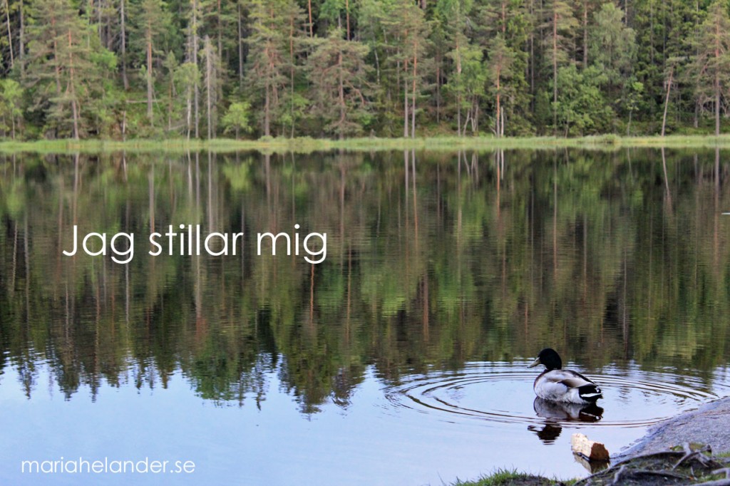 stillar
