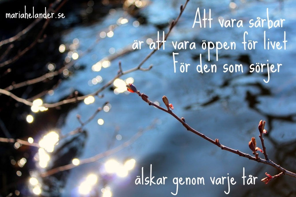 sårbar