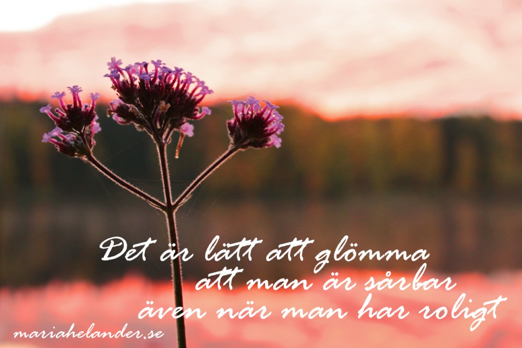 sårbar