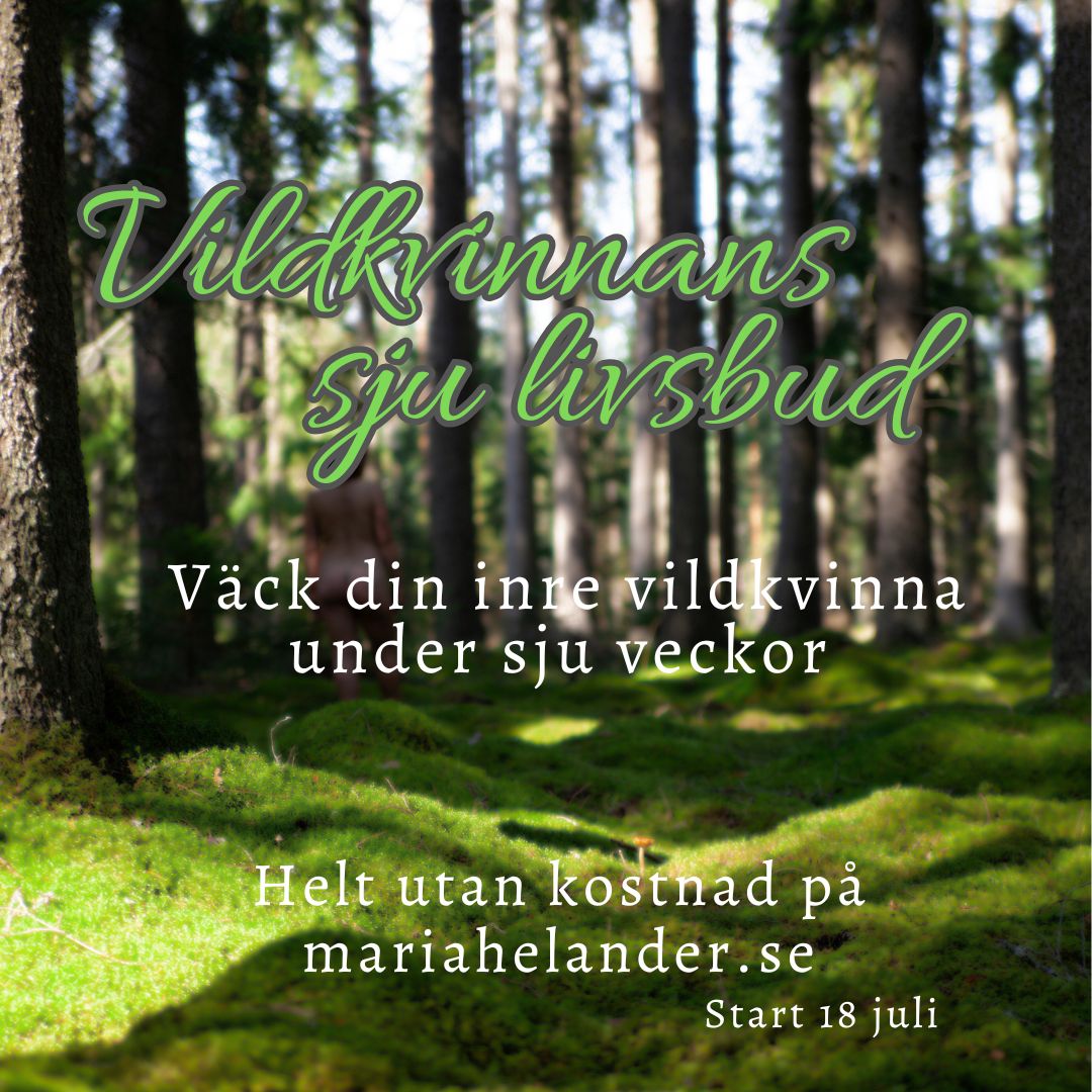 Kostnadsfri minikurs