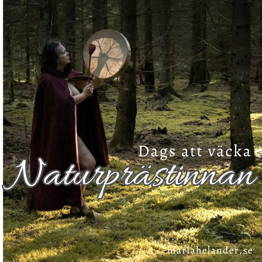 Utbilda dig till Naturprästinna