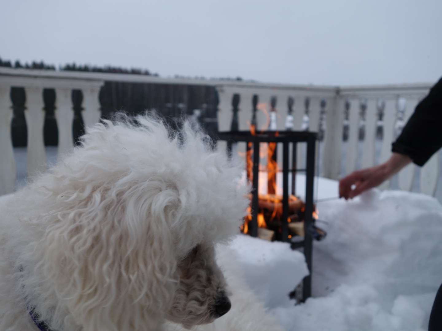 PICT_20150213_115938