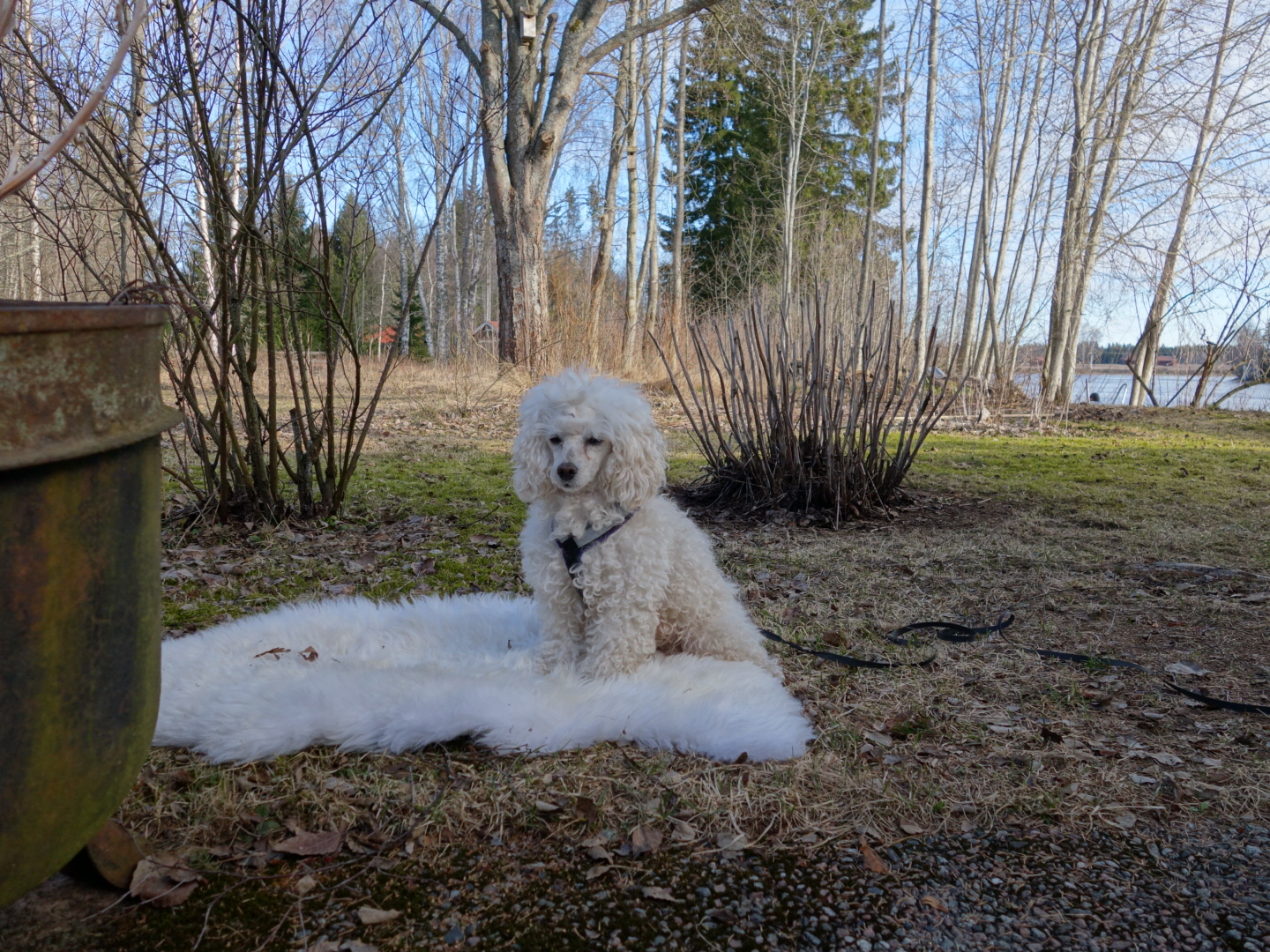 PICT_20150404_085909