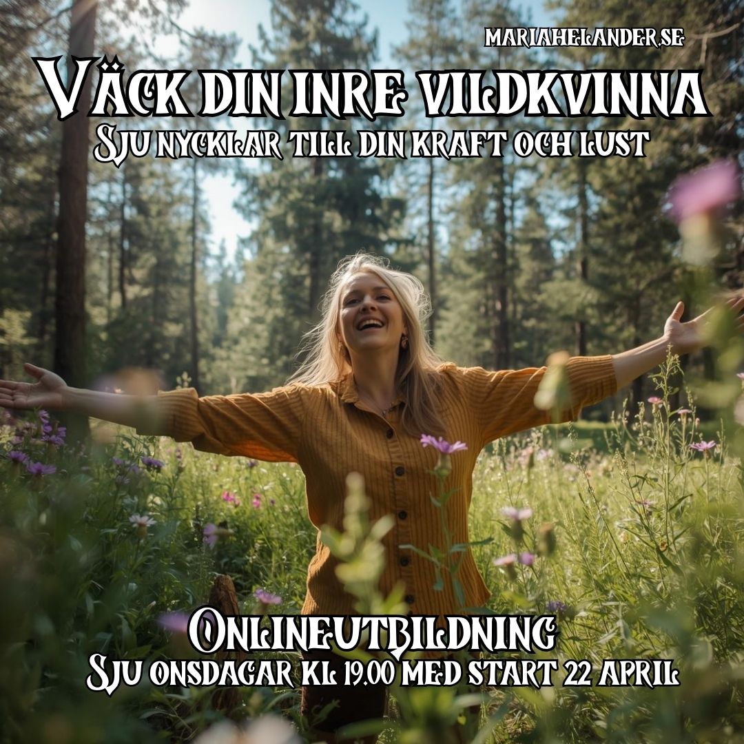 Onlineutbildning