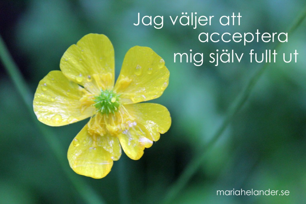 acceptera