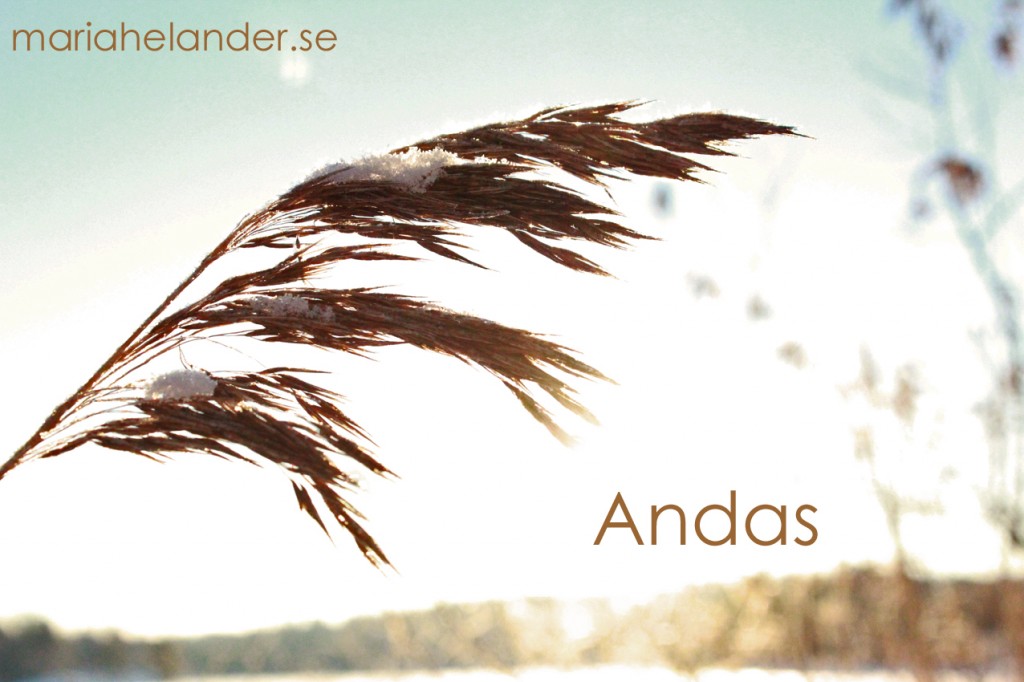 andas