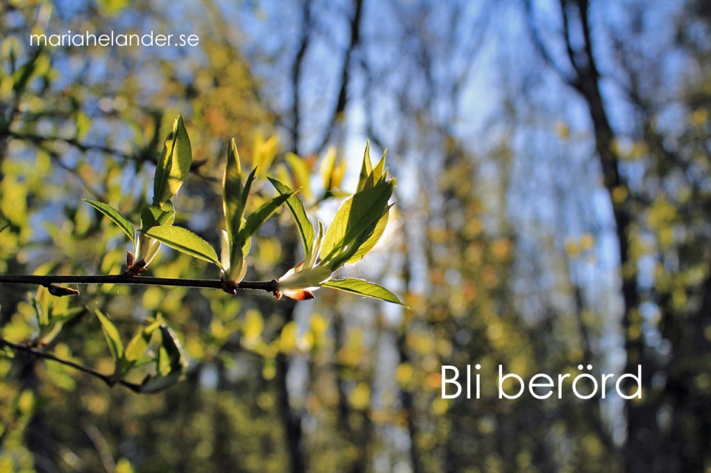 berörd