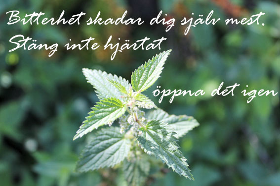 bitterhet
