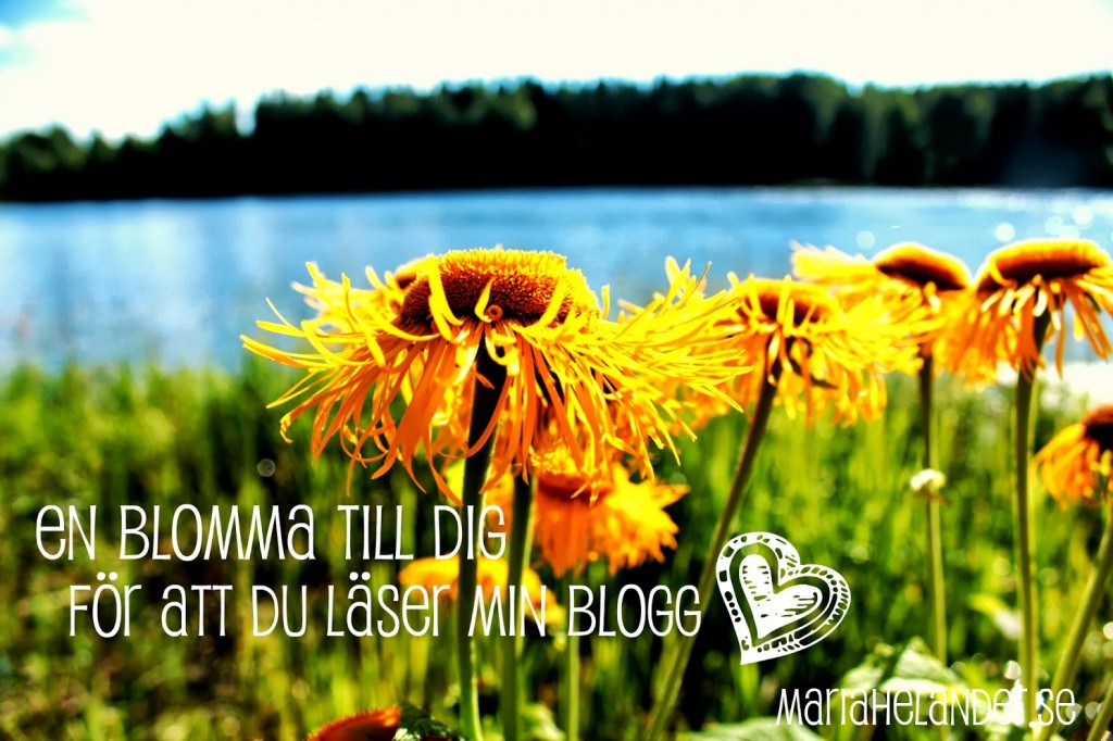blomma