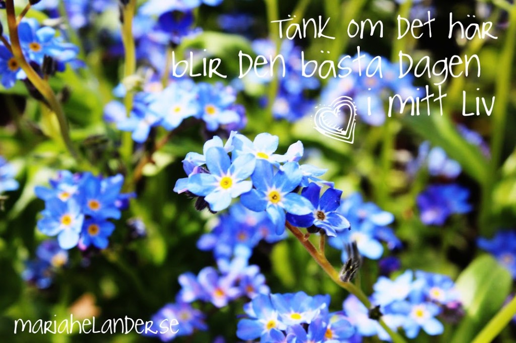 bästa