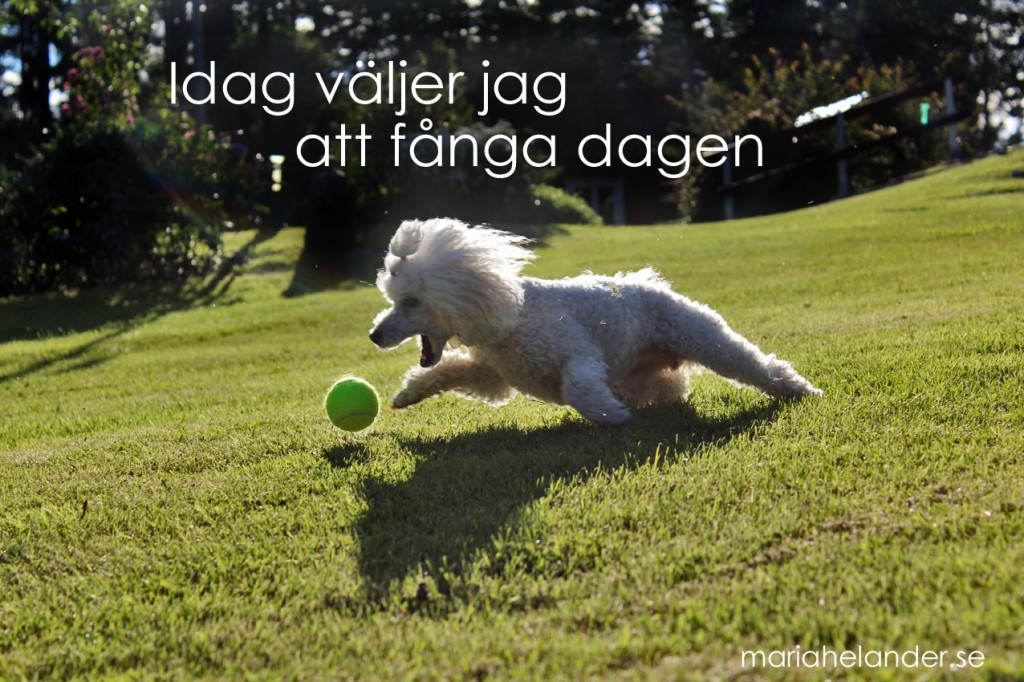 dagen