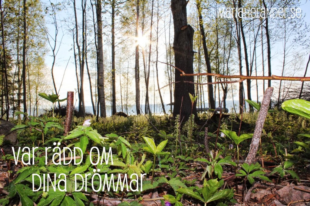 drömmar