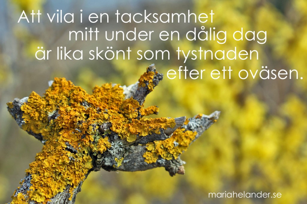 dålig