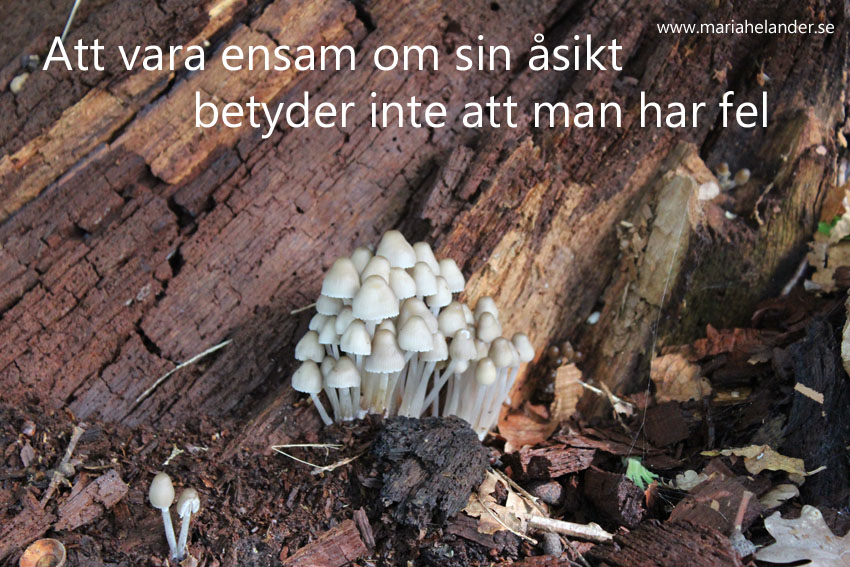 ensam