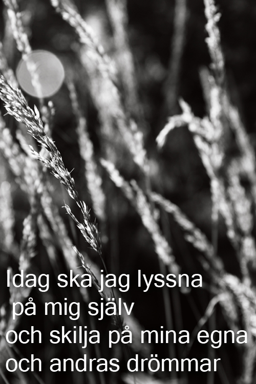 gräs svartvit förminskad