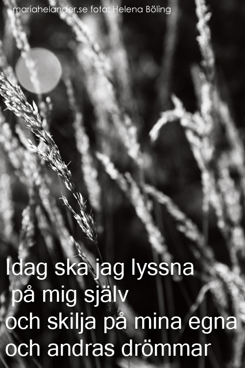 gräs svartvit