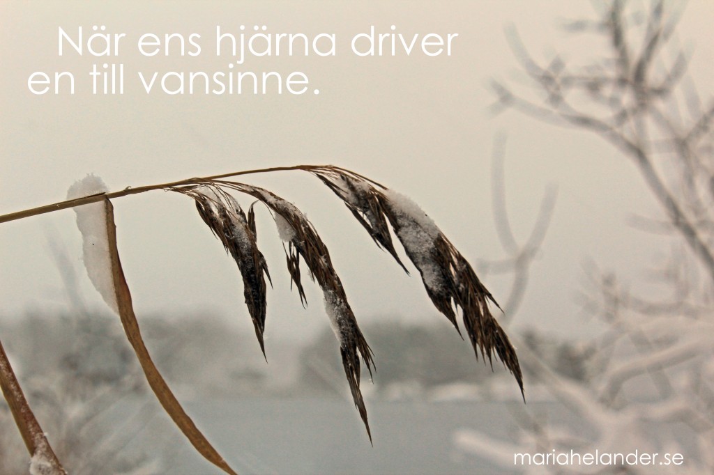 hjärna
