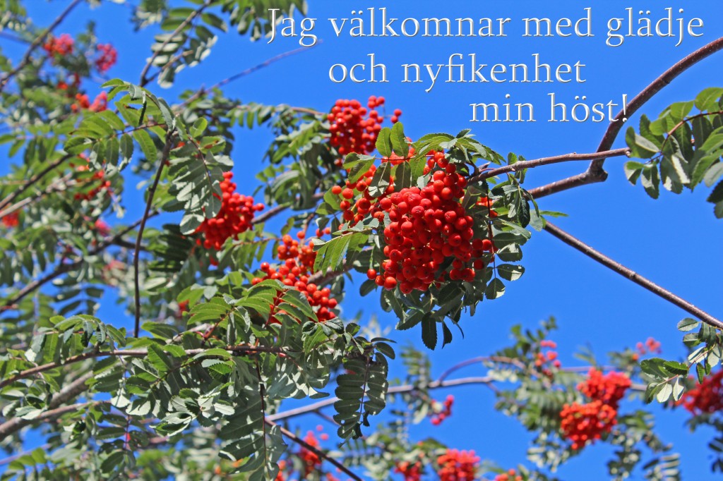 host