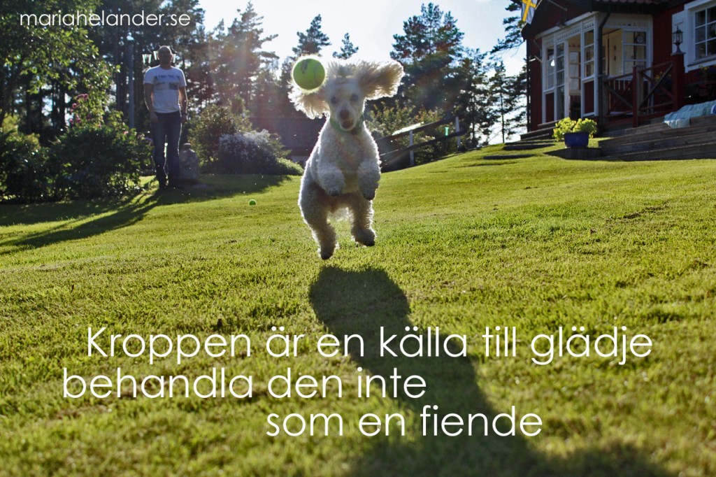 kroppen