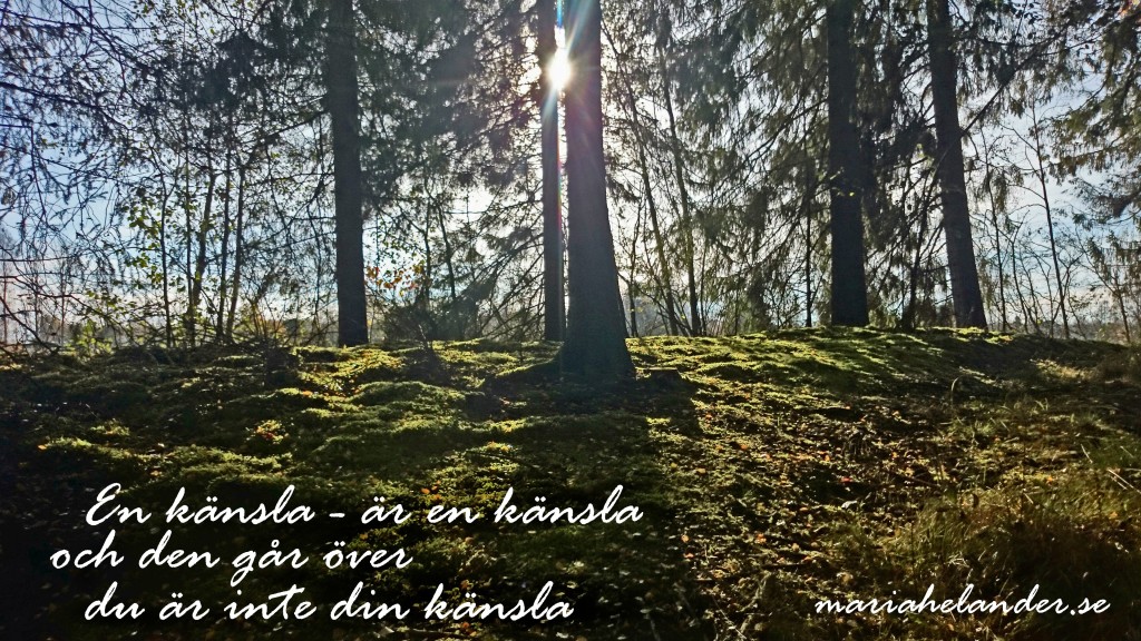 känsla