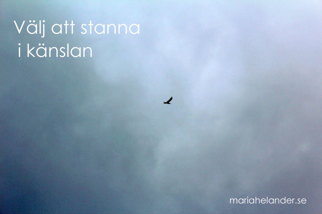 känslan