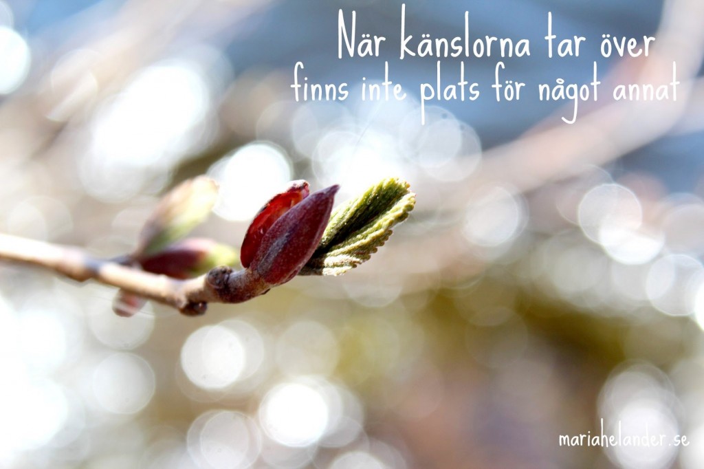 känslorna