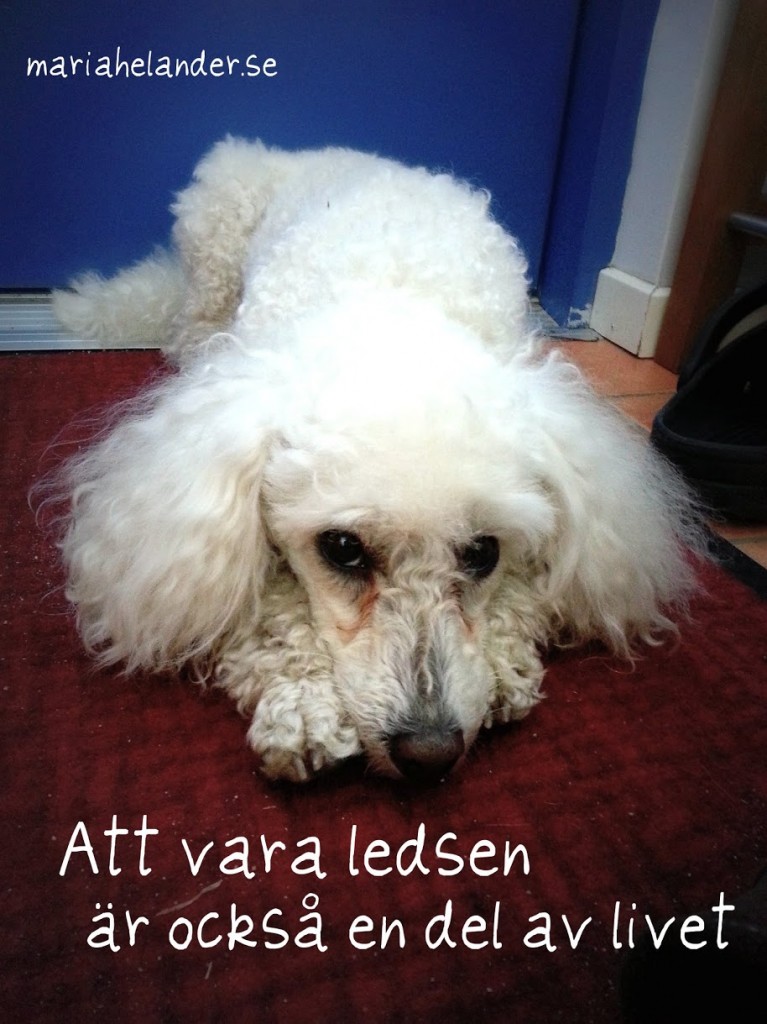 ledsen
