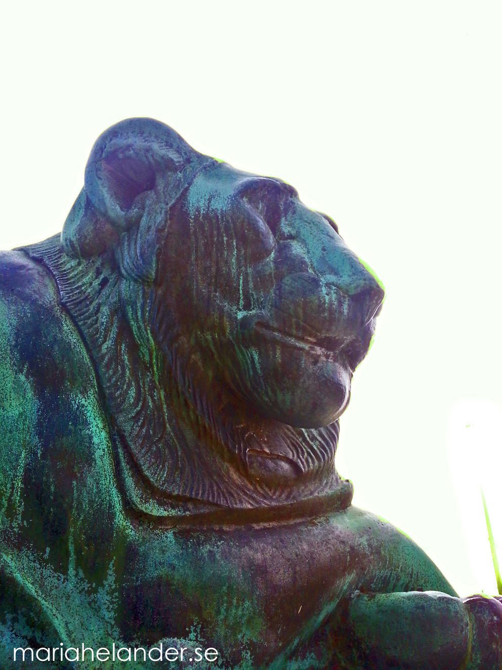 lejon