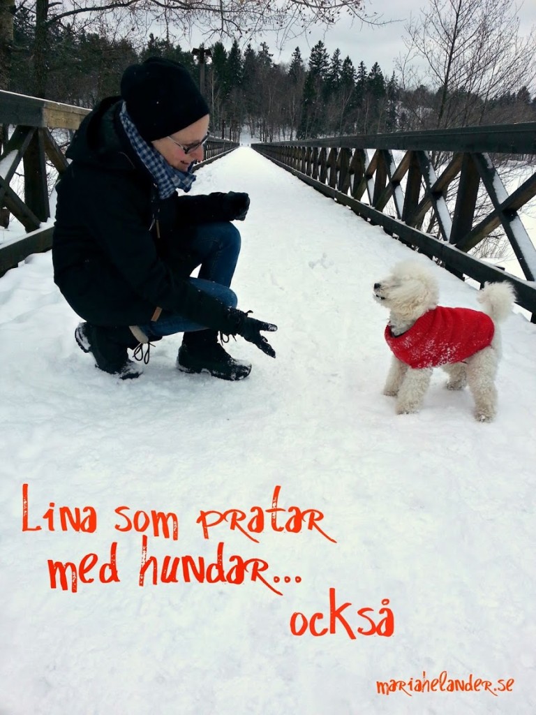 lina