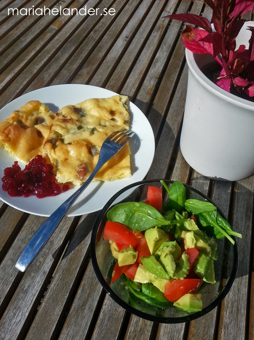 lunch