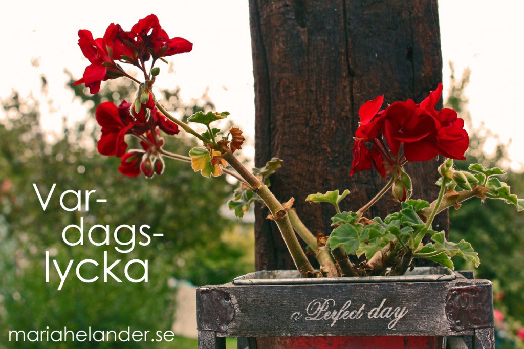 lycka