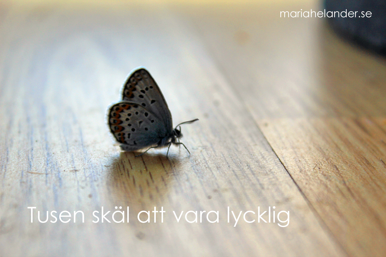 lycklig