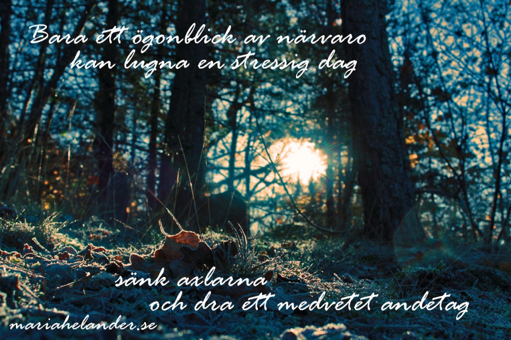 medvetet