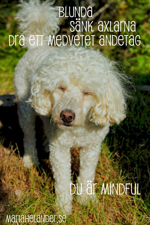 mindful