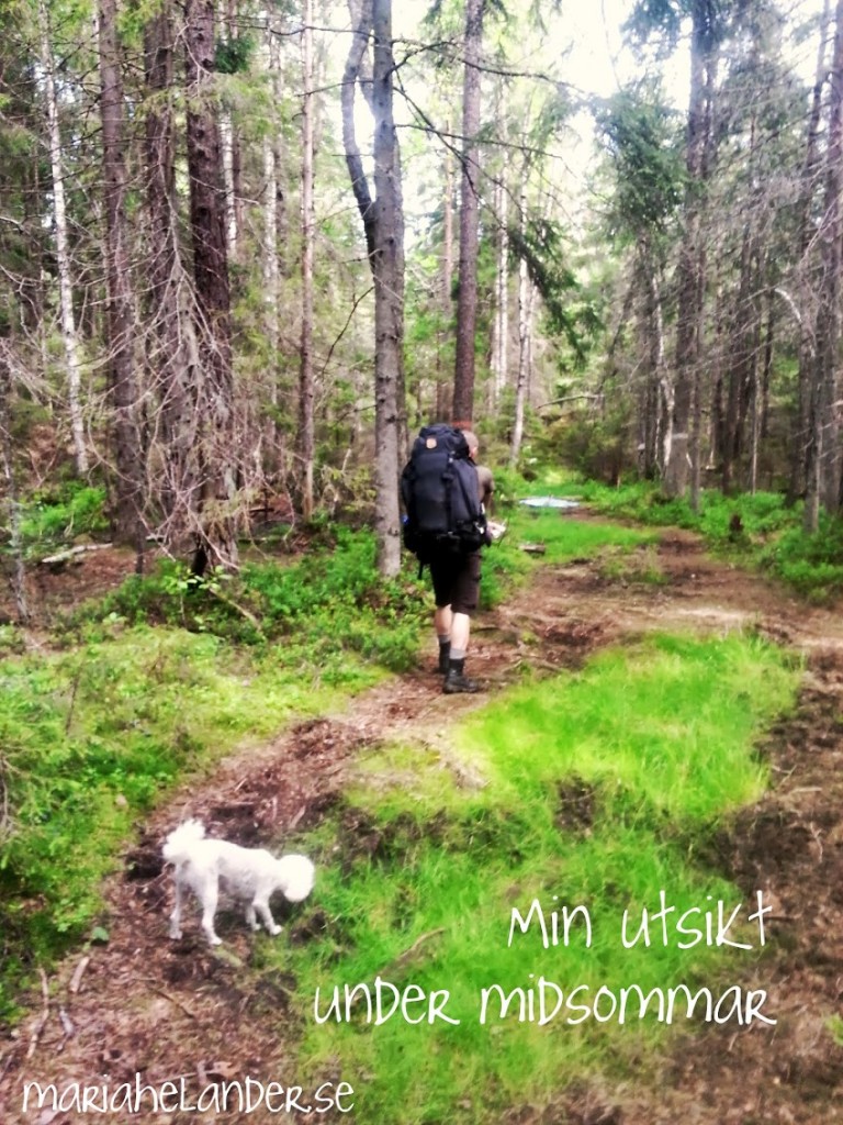 minutsikt