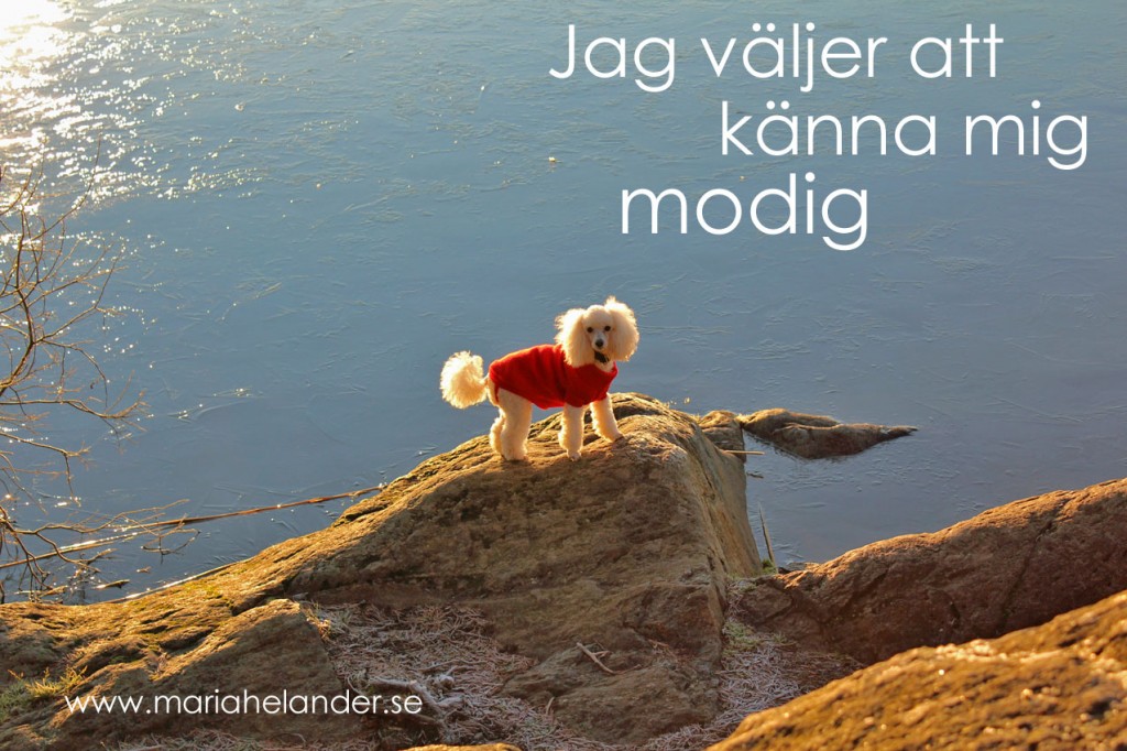 modig