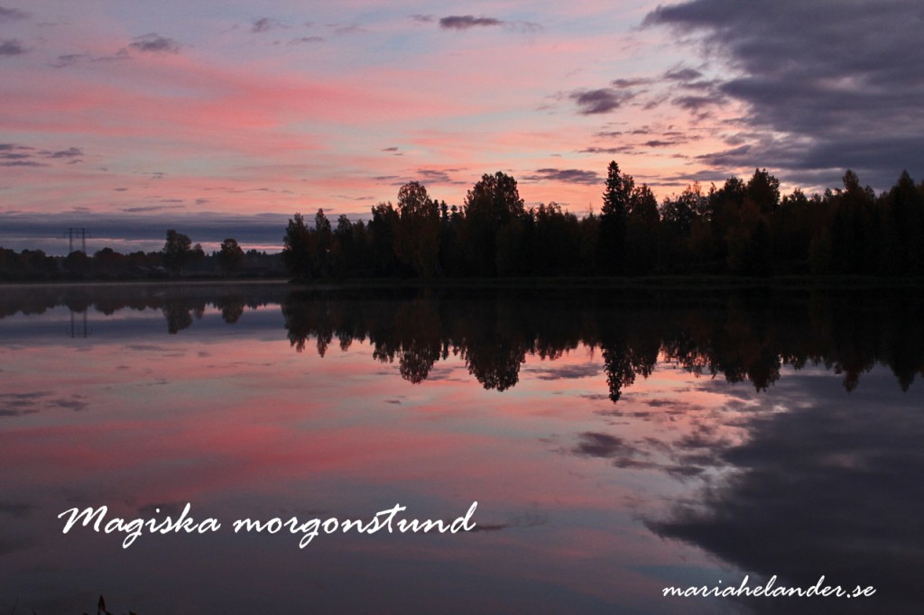 morgonstund